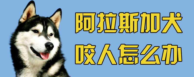 阿拉斯加犬咬人怎么办