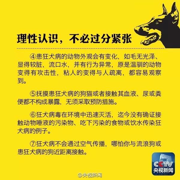 被小奶狗咬破皮要不要打针 都9102了还没有正确认识狂犬病?