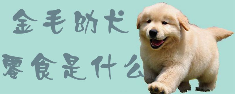 金毛幼犬零食是什么