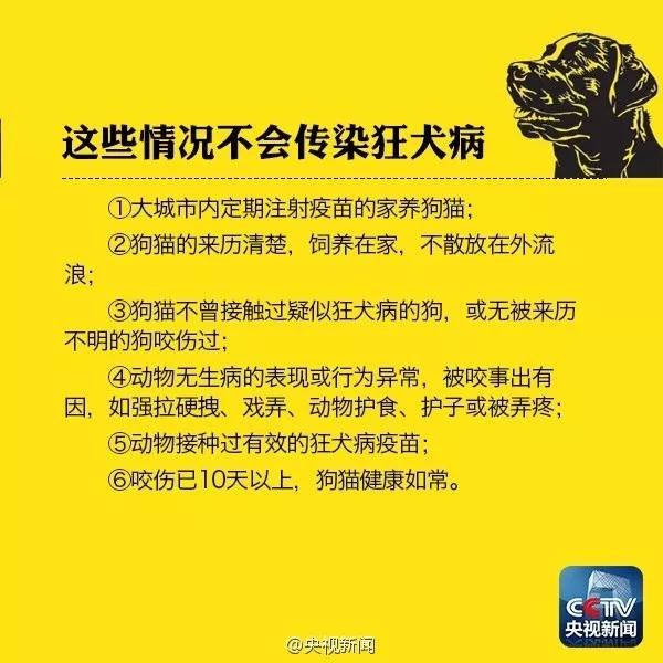 狗牙齿刮表皮没有出血 会患狂犬病吗?