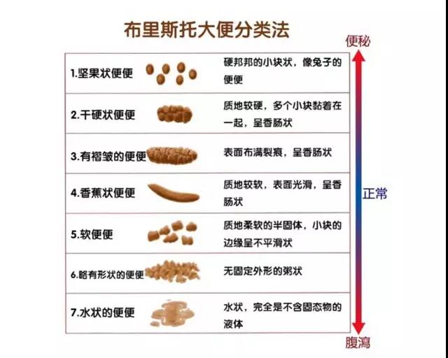 狗狗拉稀是什么原因？ 一篇文章讲透狗狗拉稀！