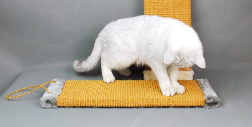 猫抓板如何选购 猫抓板选购技巧