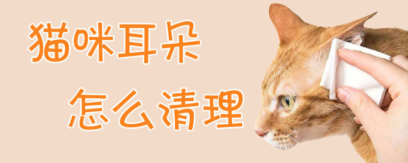 猫咪耳朵怎么清理