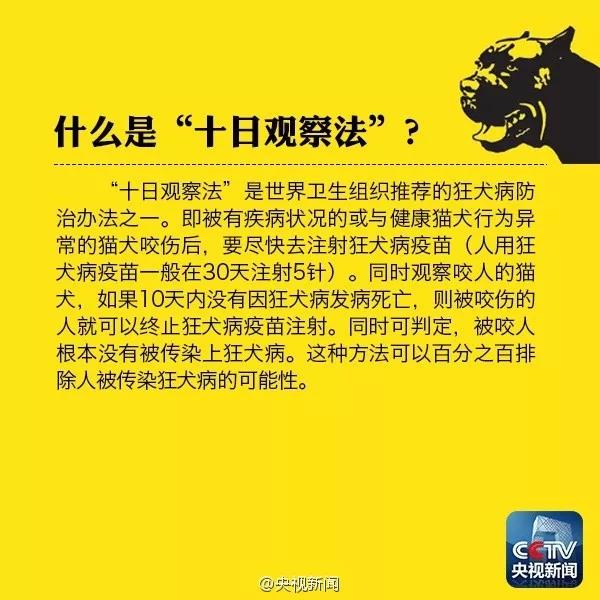 被野猫抓伤怎么办 必须打针吗?